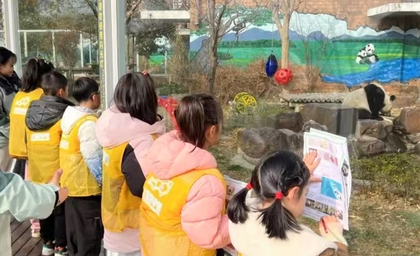 熊猫饲养员半日营- 美彩国际